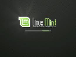 Installation Linux Mint
